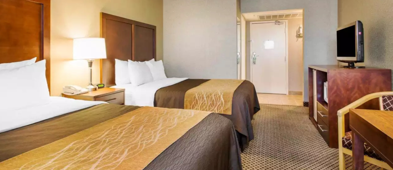 IMMERSE YOURSELF IN OUR MODERN GUEST ROOMS